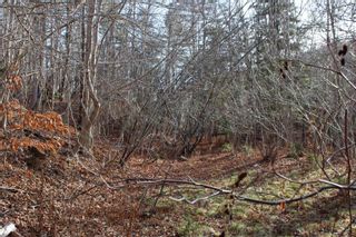 Photo 20: Lot 1 Power Lot Road in Clementsport: Annapolis County Vacant Land for sale (Annapolis Valley)  : MLS®# 202227444