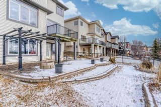 Photo 45: 113 Evanspark Terrace NW in Calgary: Evanston Detached for sale : MLS®# A1182211