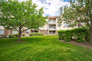 Photo 28: 312 2144 Paliswood Road SW in Calgary: Palliser Apartment for sale : MLS®# A1057089