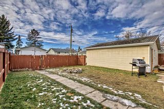 Photo 36: 1120 Penrith Crescent SE in Calgary: Penbrooke Meadows Detached for sale : MLS®# A2092966