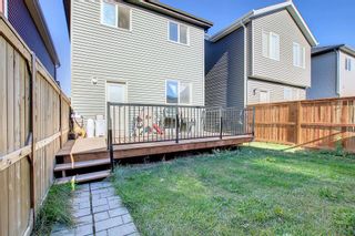 Photo 42: 41 Legacy Glen Row SE in Calgary: Legacy Detached for sale : MLS®# A2003471