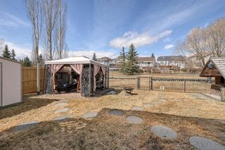 Photo 48: 152 CITADEL Manor NW in Calgary: Citadel Detached for sale : MLS®# C4294060