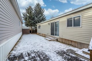 Photo 29: 121 6724 17 Avenue SE in Calgary: Red Carpet Mobile for sale : MLS®# A1166284