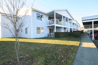 Photo 1: 218 32691 GARIBALDI Drive in Abbotsford: Abbotsford West Townhouse for sale in "CARRIAGE LANE" : MLS®# R2127583