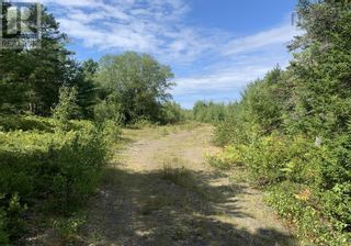 Photo 6: Lot Haines 2 Road in Midville Branch: Vacant Land for sale : MLS®# 202221123