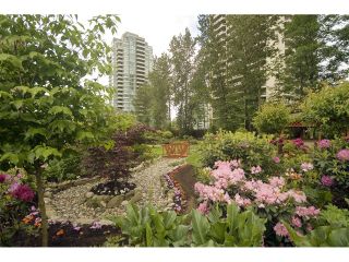 Photo 18: # 508 4425 HALIFAX ST in Burnaby: Brentwood Park Condo for sale (Burnaby North)  : MLS®# V1125998