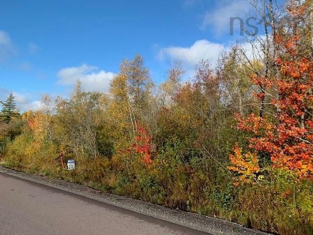 Main Photo: lot 1 and 2 Macdonald Road in Brookdale: 101-Amherst, Brookdale, Warren Vacant Land for sale (Northern Region)  : MLS®# 202126090