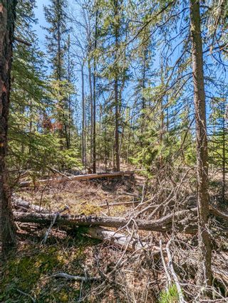 Photo 7: Lot C INMAN Road: Lone Butte Land for sale (100 Mile House)  : MLS®# R2881679