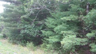Photo 6: Dawson Road in Ellershouse: Hants County Vacant Land for sale (Annapolis Valley)  : MLS®# 202317664