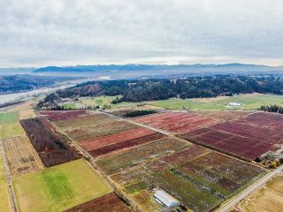 Photo 19: 8201 DYKE Road in Abbotsford: Bradner Agri-Business for sale : MLS®# C8051831