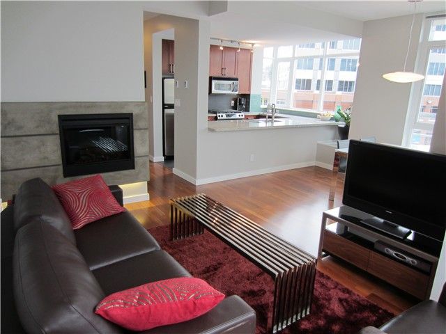 Main Photo: 402 2055 YUKON Street in Vancouver: False Creek Condo for sale in "MONTREUX" (Vancouver West)  : MLS®# V1051503