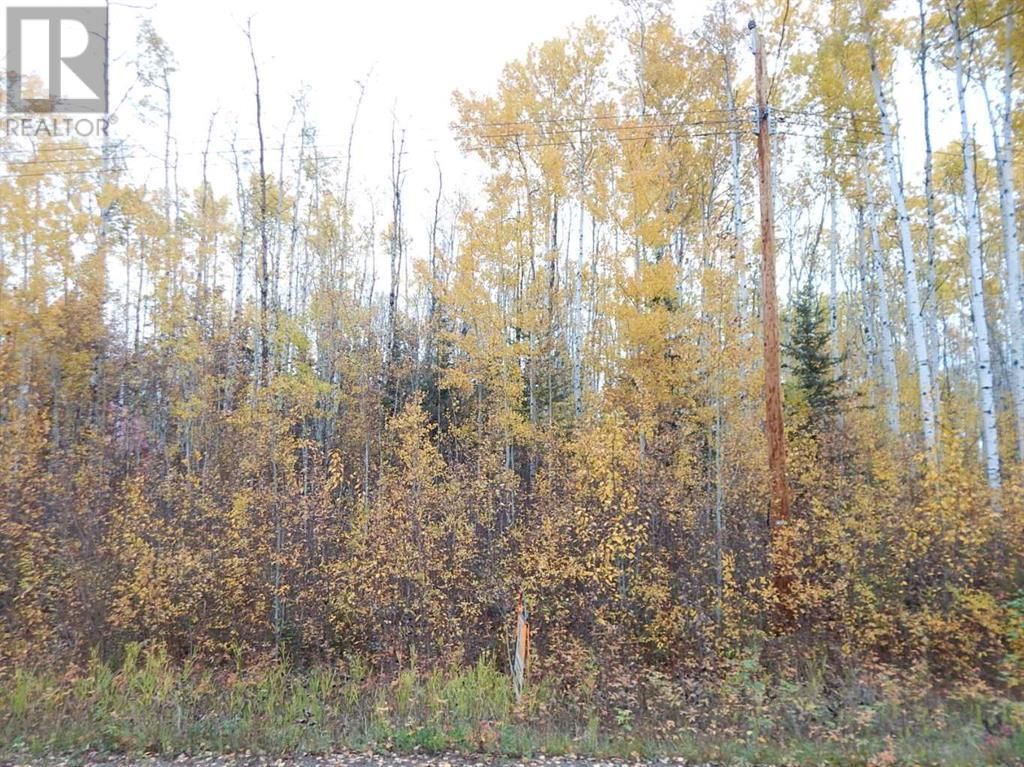 Main Photo: 56 Tugate Drive in Rural Mackenzie County: Vacant Land for sale : MLS®# A2044171