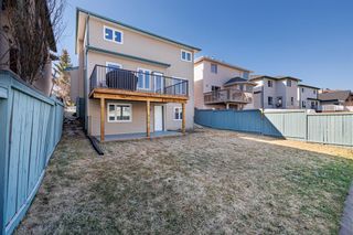 Photo 40: 172 Citadel Crest Circle NW in Calgary: Citadel Detached for sale : MLS®# A2048208