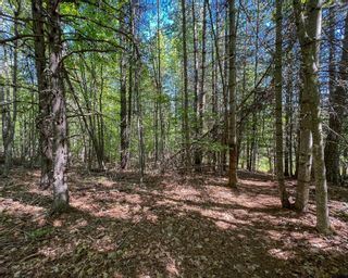 Photo 16: Lot C VICTORIA AVENUE in Kaslo: Vacant Land for sale : MLS®# 2476304