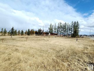 Photo 3: 26500 Hwy 44: Riviere Qui Barre Vacant Lot/Land for sale : MLS®# E4336356