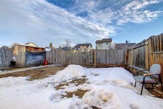 Photo 33: 3727 44 Avenue NE in Calgary: Whitehorn Detached for sale : MLS®# A1172903