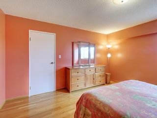 Photo 9: 4042 Hopesmore Dr in Saanich: SE Mt Doug House for sale (Saanich East)  : MLS®# 929321