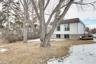 Photo 2: 3024 32A Street SE in Calgary: Dover Detached for sale : MLS®# A1175138