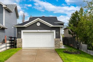 Main Photo: 234 Bridlewood Road SW in Calgary: Bridlewood Detached for sale : MLS®# A2133327