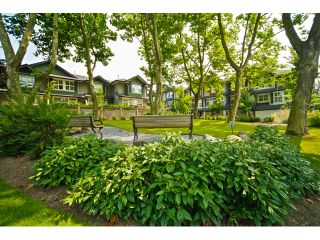 Photo 31: 16 18199 70TH Avenue in Surrey: Cloverdale BC Townhouse for sale in "Augusta" (Cloverdale)  : MLS®# F1424865