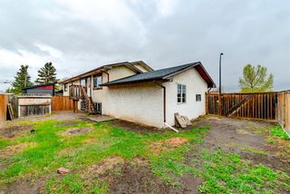 Photo 33: 3902 26 Avenue SE in Calgary: Forest Lawn Semi Detached for sale : MLS®# A1235033
