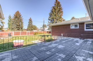 Photo 43: 628 willow park Drive SE in Calgary: Willow Park Detached for sale : MLS®# A2005474