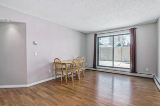 Photo 16: 206 1919 36 Street SW in Calgary: Killarney/Glengarry Apartment for sale : MLS®# A2041457