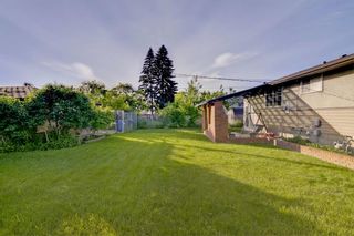 Photo 25: 4431 3 Street NE in Calgary: Greenview Detached for sale : MLS®# A1232463