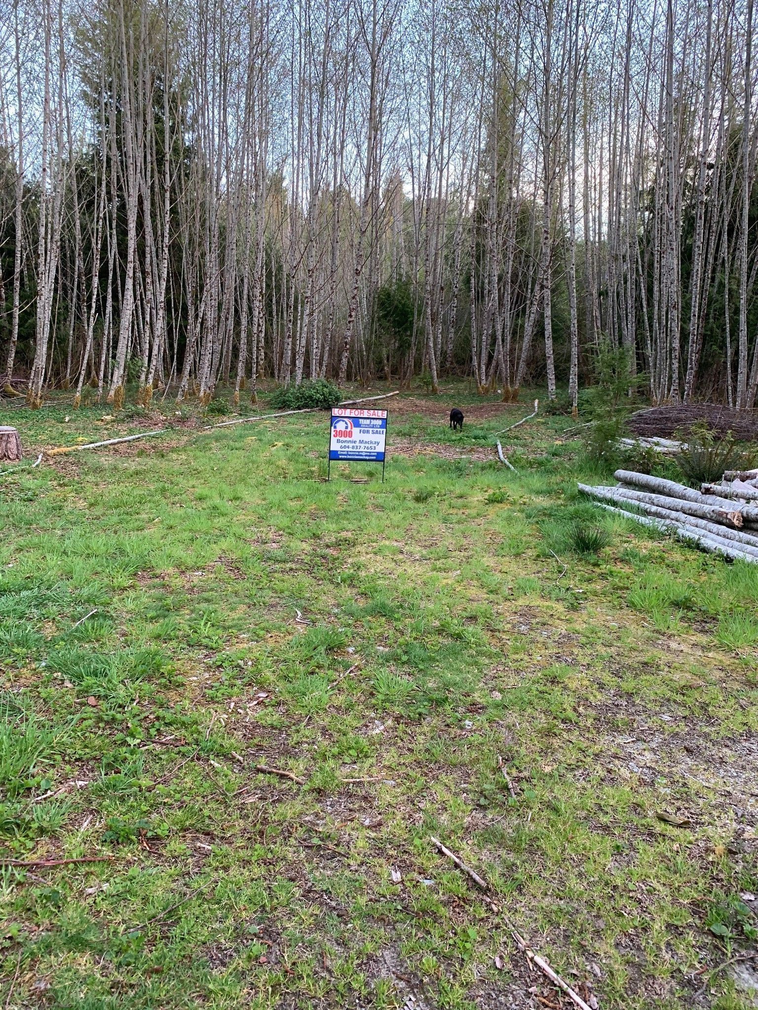 Main Photo: Lot 1 Binnacle Rd: Bamfield Land for sale (Alberni Clayoquot)  : MLS®# 873678