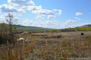 Photo 3: 17 Deer Meadows in Rural Peace No. 135, M.D. of: Rural Peace M.D. Residential Land for sale : MLS®# A2105386