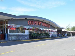 Photo 19: 12 848 Esquimalt Rd in VICTORIA: Es Old Esquimalt Condo for sale (Esquimalt)  : MLS®# 773444