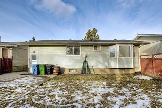 Photo 22: 451 Lysander Drive SE in Calgary: Ogden Detached for sale : MLS®# A1053955