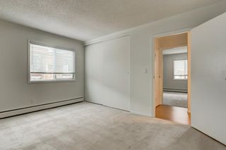 Photo 22: 32B 231 Heritage Drive SE in Calgary: Acadia Apartment for sale : MLS®# A1172862