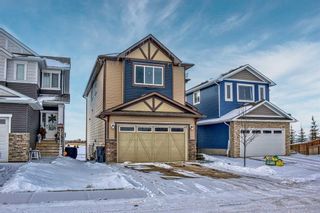 Photo 49: 19 Lakewood Mews: Strathmore Detached for sale : MLS®# A2108778