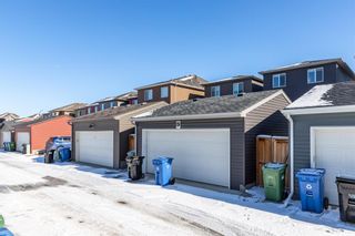 Photo 30: 135 Evansborough Crescent NW in Calgary: Evanston Detached for sale : MLS®# A1188042