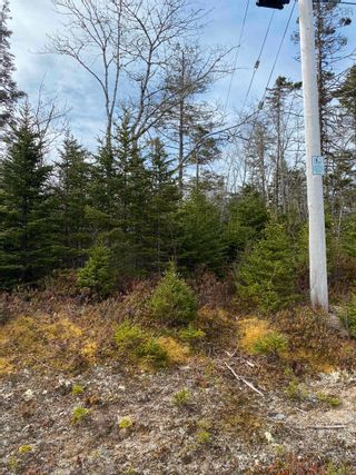 Photo 2: Lot 109 337 Toni Drive in Boutiliers Point: 40-Timberlea, Prospect, St. Marg Vacant Land for sale (Halifax-Dartmouth)  : MLS®# 202406861