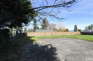 Photo 65: 3828 Laurel Dr in Royston: CV Courtenay South House for sale (Comox Valley)  : MLS®# 955787