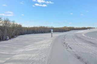 Photo 14: 5 Bruhn Bend: Rural Ponoka County Residential Land for sale : MLS®# A2102789