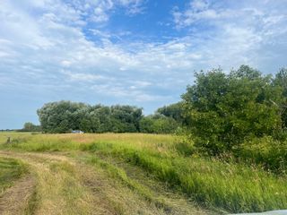 Photo 1: 0 PR Highway 305 in Portage la Prairie RM: Vacant Land for sale : MLS®# 202202727