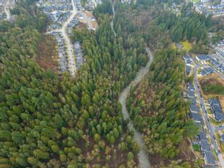 Photo 9: 13800 236 Street in Maple Ridge: Silver Valley Land for sale in "Forest Hamlet Eco Cluster Silver Valley" : MLS®# R2853658