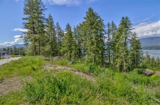 Photo 5: 3541 20 Street, NE in Salmon Arm: Vacant Land for sale : MLS®# 10270340