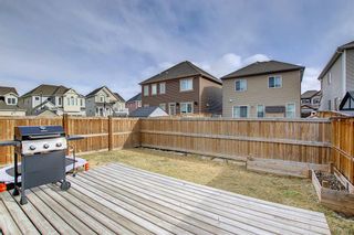 Photo 16: 167 Windbrook Manor SW: Airdrie Detached for sale : MLS®# A1204917