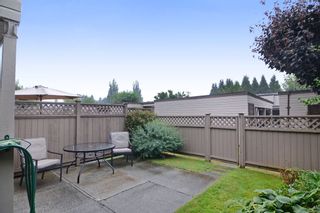 Photo 38: 3336 VINCENT Street in Port Coquitlam: Glenwood PQ Townhouse for sale in "Burkview" : MLS®# R2110578