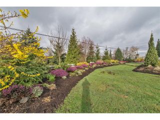 Photo 19: 778 SUMAS Way in Abbotsford: Central Abbotsford House for sale : MLS®# F1433210
