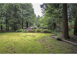 Photo 16: 14030 GREENCREST Drive in Surrey: Elgin Chantrell House for sale (South Surrey White Rock)  : MLS®# F1451374