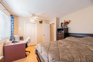 Photo 29: 145 Martindale Drive NE in Calgary: Martindale Detached for sale : MLS®# A2094318