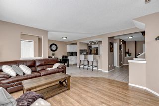 Photo 7: 138 Elgin Drive SE in Calgary: McKenzie Towne Detached for sale : MLS®# A1216902
