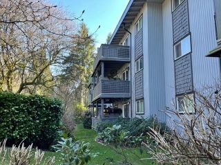 Photo 5: 148 200 WESTHILL Place in Port Moody: College Park PM Condo for sale in "Westhill Place" : MLS®# R2764033