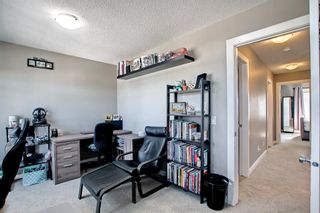 Photo 41: 180 Evanspark Gardens NW in Calgary: Evanston Detached for sale : MLS®# A1144783