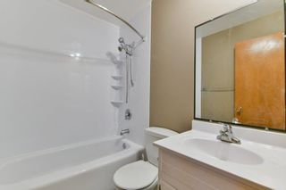 Photo 15: 209 Rochester Avenue in Winnipeg: Fort Richmond Residential for sale (1K)  : MLS®# 202126125